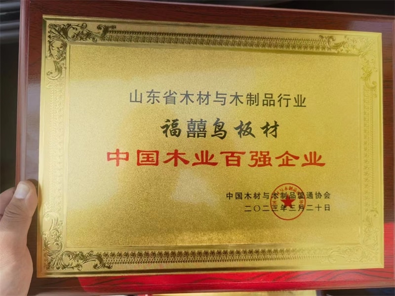 公司榮譽