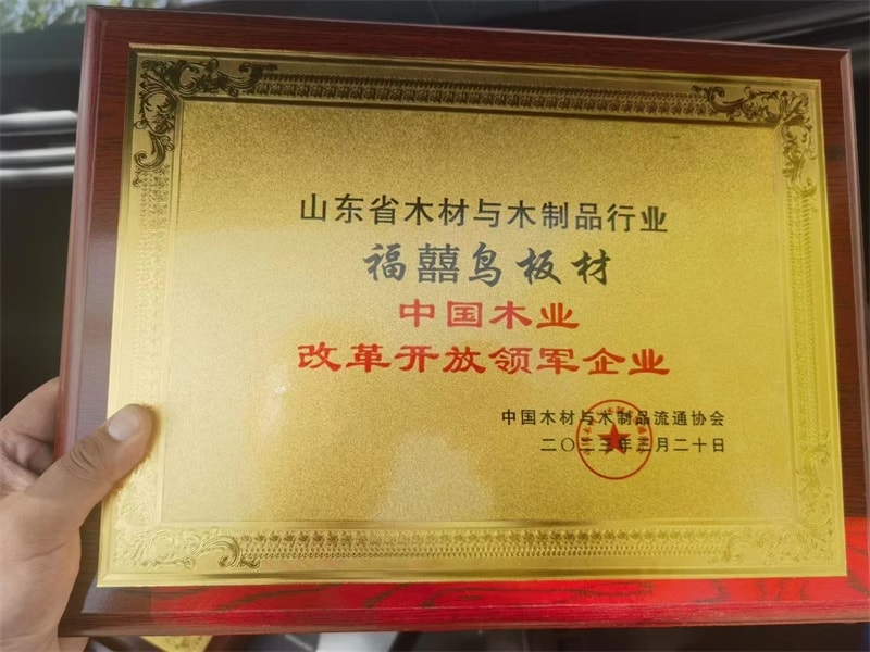 公司榮譽